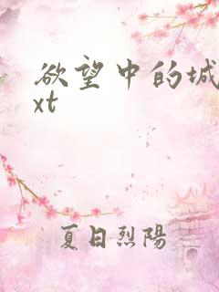 欲望中的城市txt