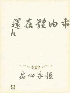 还在体内乖吃饭h