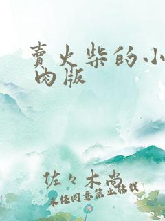 卖火柴的小男孩 肉版