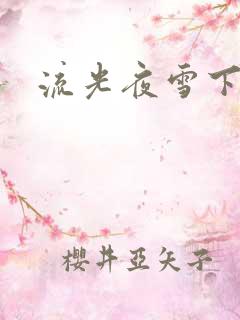 流光夜雪下载