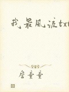 我最风流txt