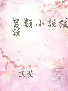 另类小说校园小说