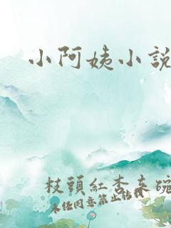小阿姨小说