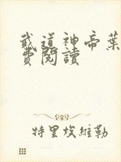 武道神帝叶辰免费阅读