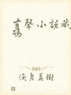 有声小说藏地密码