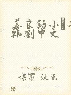 善良的小峓子2韩剧中文