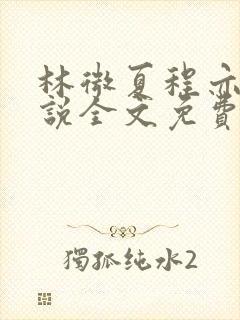 林微夏程亦风小说全文免费