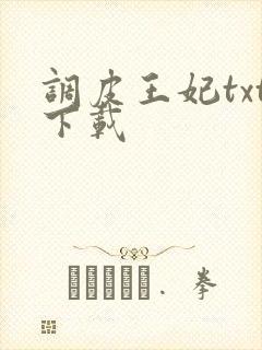 调皮王妃txt下载