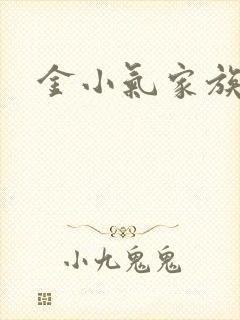 金小气家族小说