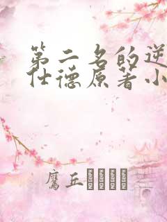 第二名的逆袭高仕德原著小说