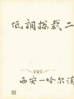 低调总裁二手妻