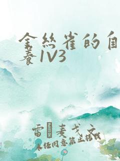 金丝雀的自我修养1V3