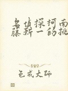 名侦探柯南给工藤新一的挑战书