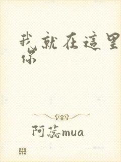 我就在这里要了你