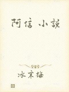阿信 小说