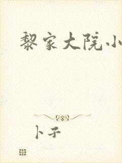 黎家大院小说