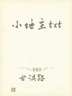 小地主txt