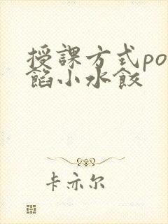授课方式po肉馅小水饺