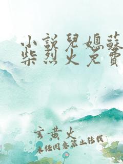 小说儿媳苏玥干柴烈火免费阅读