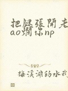 把腿张开老子cao烂你np