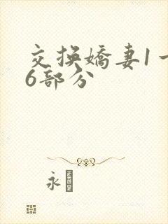 交换娇妻1一36部分