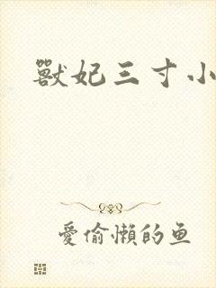 兽妃三寸小狂妻