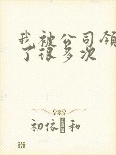 我被公司领导C了很多次