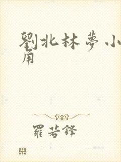 刘北林梦小说主角