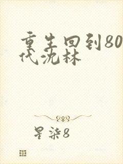 重生回到80年代沈林