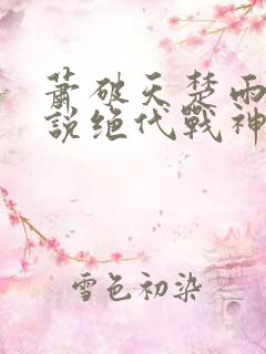 萧破天楚雨馨小说绝代战神
