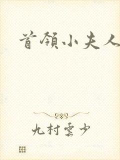 首领小夫人