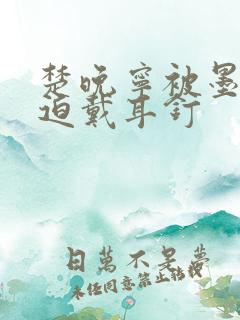 楚晚宁被墨燃强迫戴耳钉