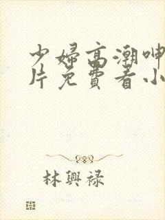 少妇高潮呻吟A片免费看小说