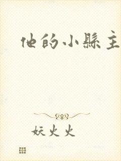 他的小县主