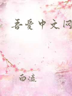 吾爱中文网