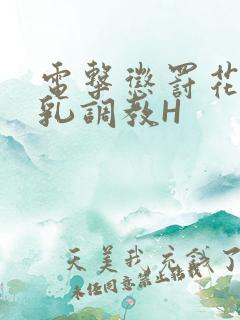 电击惩罚花蒂榨乳调教H