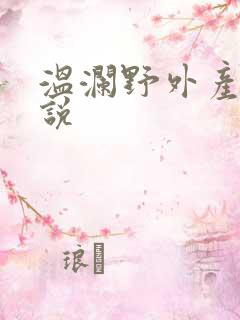 温澜野外产子小说