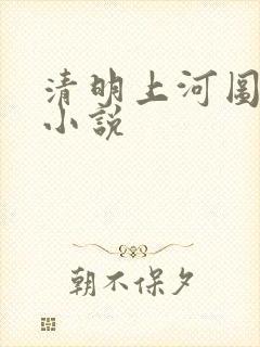 清明上河图密码小说