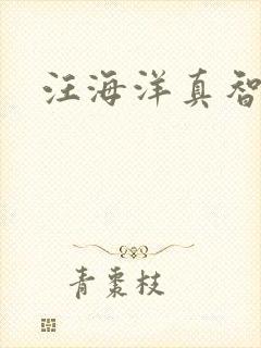 汪海洋真智师太