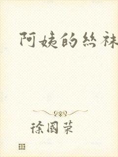 阿姨的丝袜小说