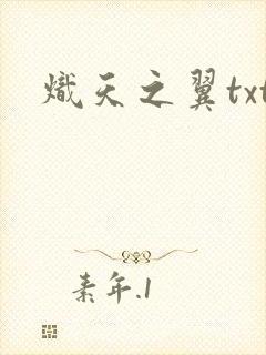炽天之翼txt