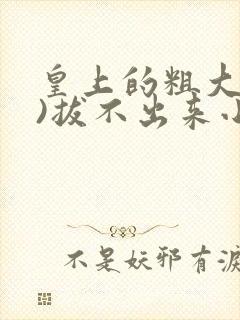 皇上的粗大(h)拔不出来小说