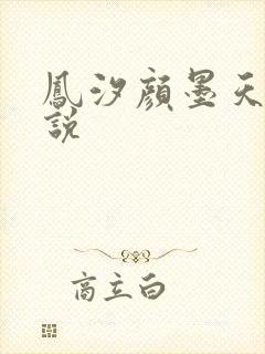 凤汐颜墨天问小说