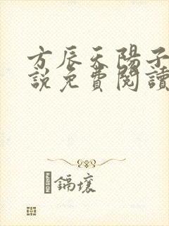 方辰天阳子的小说免费阅读