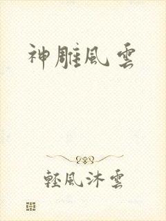 神雕风云