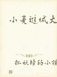 小麦进城大结局