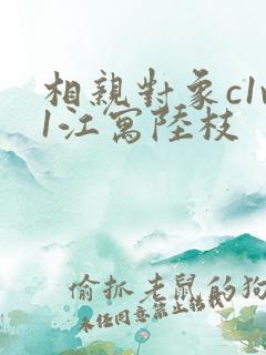 相亲对象c1v1江寓陆枝