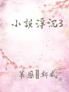 小说浮沉3