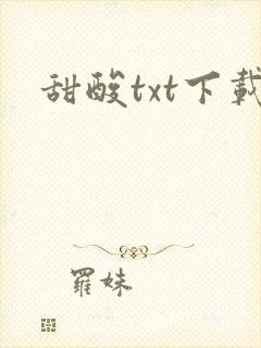 甜酸txt下载