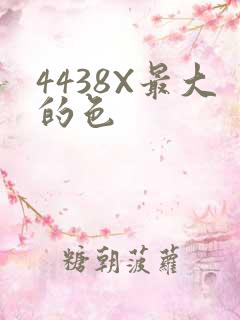 4438X最大的色